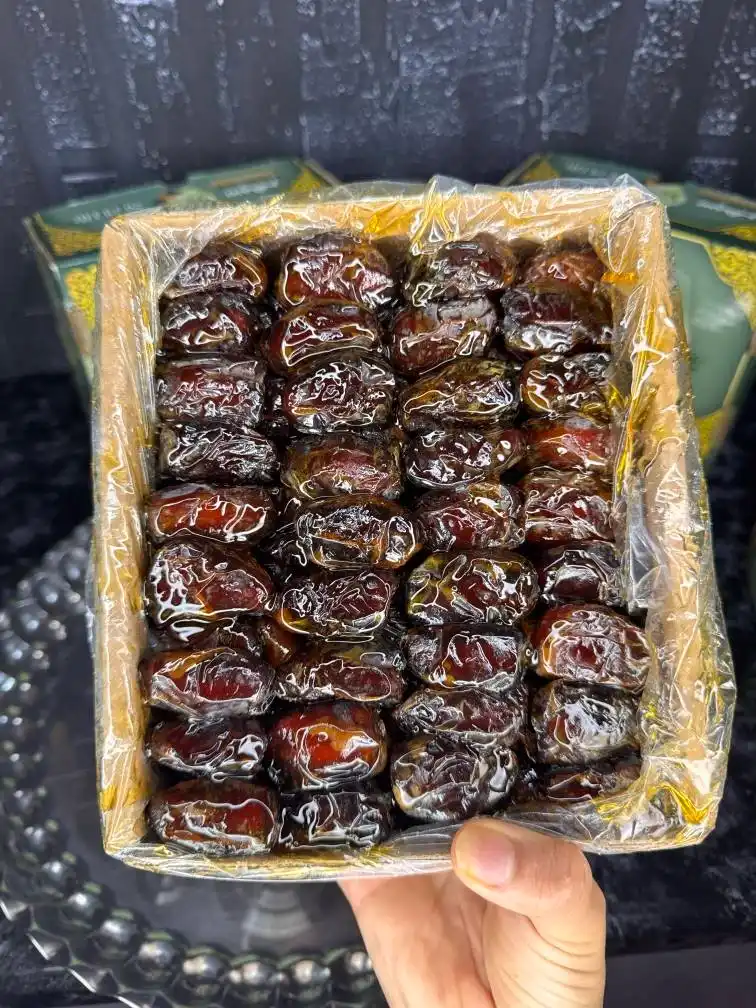 قیمت و خرید بی واسطه خرما کبکاب؛ چرا خرمای کبکاب بوشهر انتخابی باکیفیت است؟
