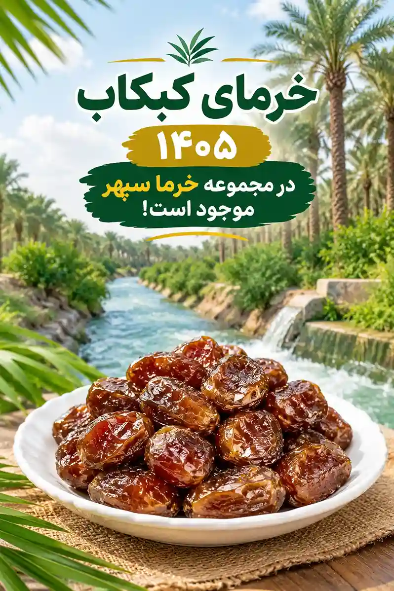 خرمای امسالی بخریم یا پارسالی؟ با تفاوت این دو از نظر طعم، نرمی، تازگی، ماندگاری و قیمت آشنا شوید و خرمای باکیفیت‌تری انتخاب کنید.