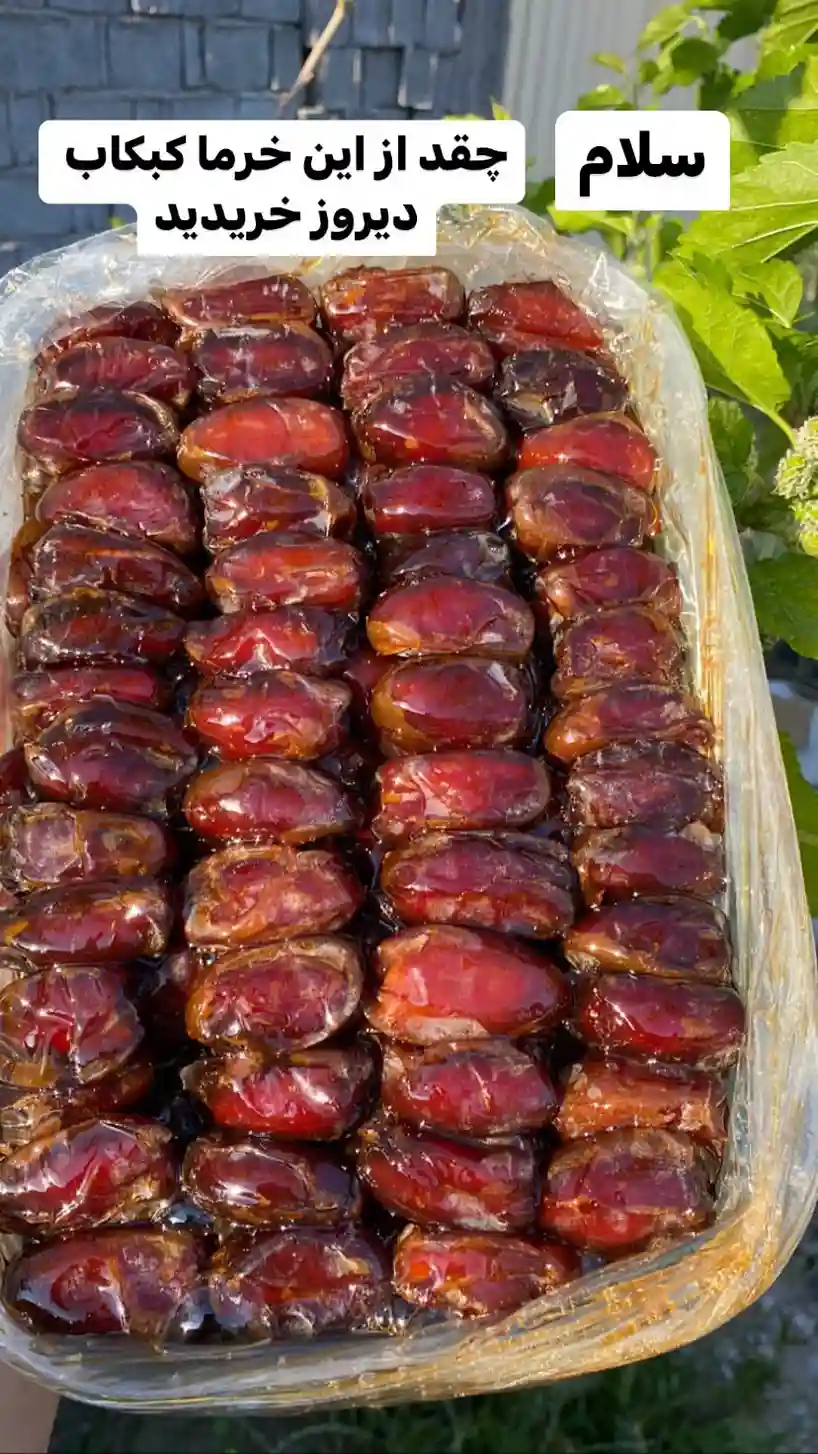 چرا خرماهای یک نوع قیمت‌های متفاوتی دارند؟ با ۷ عامل مؤثر بر قیمت خرما، تفاوت کیفیت و روش مقایسه قیمت هر کیلوگرم آشنا شوید.
