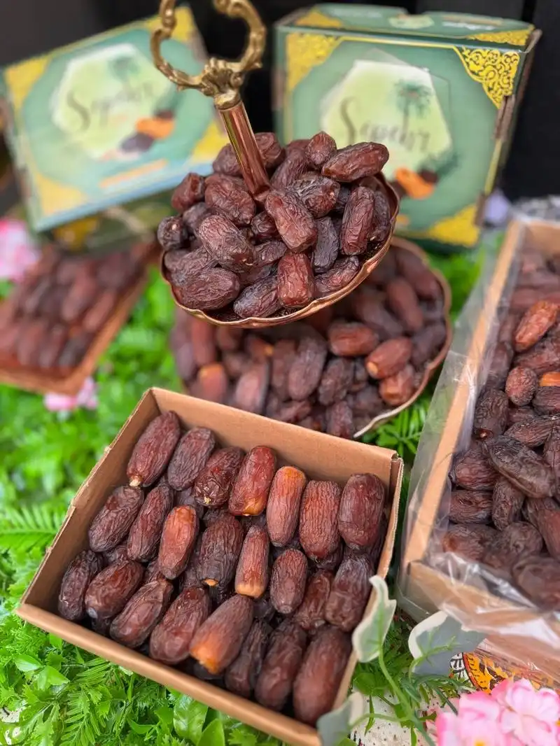 خرمای مجول